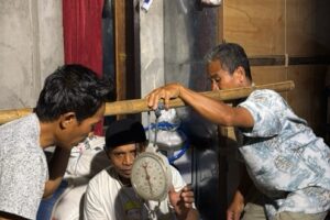 Menimbang jumlah beras